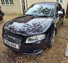 Image result for Alpaka Beige 2008 S4