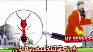 شركة مكافحة حشرات بالخبر شركة مكافحة النمل الابيض بالخبر شركة رش مبي Https Myserviceshome Com Combating Insects And Pesticide Spraying In Kh Baby Mobile