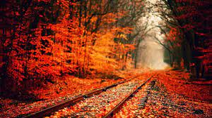 Full Hd 1080p Autumn Wallpapers Oc 1920 1080 R Earthporn Autumn Scenery Scenery Fall Wallpaper