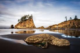 The pacific coastline, alpine areas, west side temperate rainforest, and east side temperate rainforest. Olympic Nationalpark Washington Geo