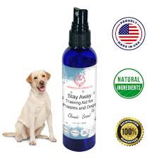 Even if the dog is forbidden from the furniture, he may still curl up for a nap on on the couch or bed while you're away. Harbor S Dog Repellent And Training Aid For Puppies And Dogs 4 Oz Puppy Training Spray Dog Training Spray Do Puppy Training Cat Repellant Dog Furniture