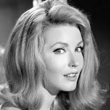 Watch The Alfred Hitchcock Hour