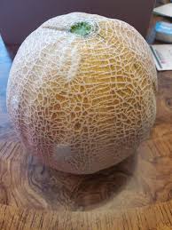 127 20 0 9 98 Cantaloupe Burpees Ambrosia Hybrid Burpee