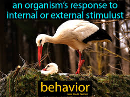 Behavior Science Flashcards Science Facts Science Memes
