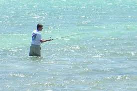 Maybe you would like to learn more about one of these? Send An E Gift Card