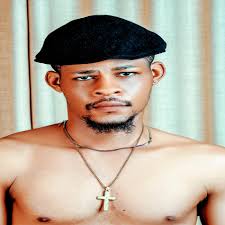 Rock Steady: albums, songs, concerts