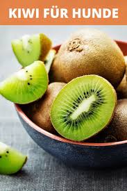 Durfen Hunde Kiwi Essen Dogco De In 2020 Hunde Ernahrung Hunde Futter Bestes Hundefutter