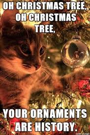 Funny Animal Picture Dump Of The Day 24 Pics Christmas Memes Funny Funny Christmas Pictures Christmas Cat Memes