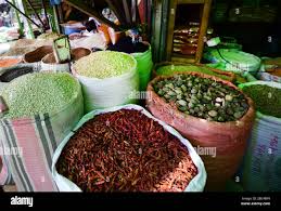 Image result for Aframomum corrorima