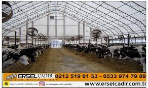 Ersel Cadir Ile Sizlerde Kendi Kumes Hayvancilarinizi Kendi Cadirinizda Besleyin Detayli Bilgi Icin Bizimle Iletisime Gecin Http Www Erse Gece Canta Tintin