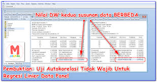 Uji Asumsi Klasik Regresi Data Panel Yang Wajib M Jurnal