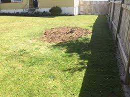 Here's how to kill a tree stump with rock salt: Stump Grinding And Tree Stump Removal Some Things To Consider