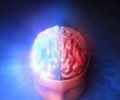 Image result for metafisica