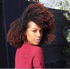 Natural Hair Dyed Natural Hair Colored Curly Hair Natural Hair Color