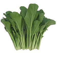 Похожие запросы для sayur sawi in english. Sawi Hijau Cameron Malaysia Cameron Choy Sum Soon Huat Seeds