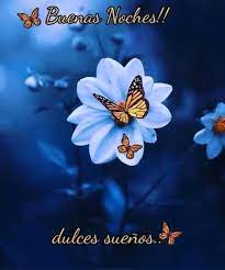 Frases Para Dar Las Buenas Noches Https Compartirimagenes Net Frases Para Dar Las Buenas Noches 175 En 2021 Buenas Noches Postales De Buenas Noches Noche