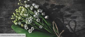 We did not find results for: Photos Pour Le 1er Mai Offrez Un Parfum Porte Bonheur Au Muguet Gala