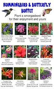 Hummingbird Butterfly Buffet Jpg 1 224 2 016 Pixels Butterfly Garden Design Plants Hummingbird Garden