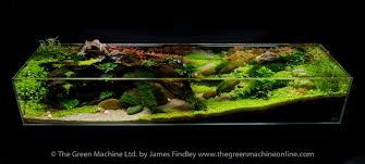 20120201 Dsc 2393 Jpg 1920 865 Aquascape Planted Aquarium Aquascape Aquarium