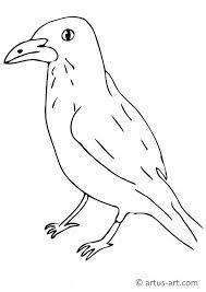 Click on any birds picture above to start coloring. Raven Coloring Page Printable Coloring Page Artus Art