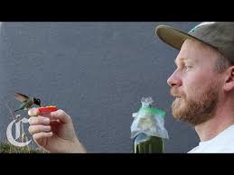 I Became Humdaddy': Oakland TikTok Star Finds Healing Through Hummingbirds 