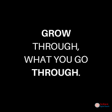 Love This Encouragement Quotes Perseverance Quotes Wise Words Quotes