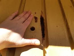 Image result for site:byggahus.se getingar