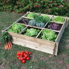 Carre Potager 120x120x30cm Pin A