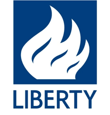 Engages in the provision of iron cast automotive components. Btvi Live On Twitter Sources To Btvi Liberty House Bid Receives Approximately 98 Coc Votes Btvi Alert Castex Technologies Is Subsidiary Of Amtek Auto Sbi Is Lead Lender To Castex Technologies Https T Co 5whcdgtptb