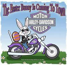 Pin On Harley Davidson