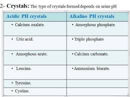 Crystals In Urine Calcium Oxalate Uric Acid Amorphous