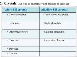 Crystals In Urine Calcium Oxalate Uric Acid Amorphous