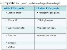 crystals in urine calcium oxalate uric acid amorphous