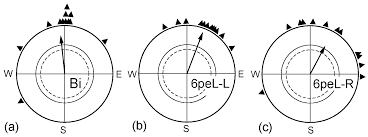 Symmetry Free Full Text Lateralization Of The Avian Magnetic Compass Analysis Of Its Early Plasticity Html