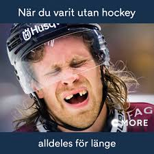 TV4 Hockey