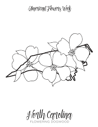 State flower of north carolina. 50 State Flowers Free Coloring Pages American Flowers Week Coloring Home