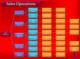 pic sales operations org chart software support