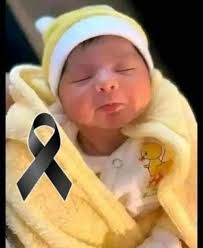 ORGANIZA: Escuela Profesional JUAN DELGADO Colabora: GMDistribuciones  FECHA: 9 de Febrero a las 12:00h LUGAR: EXPOBELLEZA