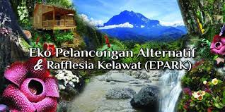 Salah satu potensi bidang pelancongan di malaysia ialah pelancongan berasaskan warisan. Eko Pelancongan Alternatif Rafflesia Kelawat Epark Home Facebook