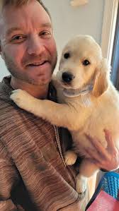 Kittens for adoption in Cedar Park