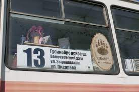 Литературный клуб открылся в трамвае за оперным театром: как он устроен  внутри - 30 июня 2023 - НГС.ру