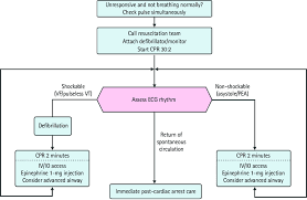 Image result for Ventricular Fibrillation Management in the Adult
