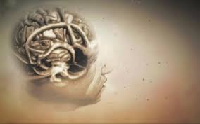 Image For 3d Brain 1080p Hd Wallpaper Wp6806972 Dr House Opening 1084358 Hd Wallpaper Backgrounds Download