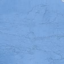 Image result for Hypericophyllum elatum