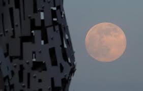 We did not find results for: Incredible Pictures Show Last Night S Pink Supermoon Over Scotland Heraldscotland