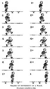 How To Draw And Animate A Person Walking Or Running Huge Guide And Tutorial How To Draw Step By Step Drawing Tutorials If you like to draw you know very well that doing it is fun and relaxing.