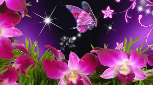 Pin By Carrabags On T D Wallpaper Nature Flowers Butterfly Wallpaper Flower Wallpaper