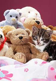 Pin On Plyushevye Mishki I Drugie