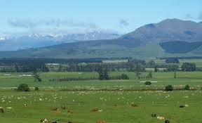 Visita queenstown para hacer actividades de aventura increíbles. Nueva Zelanda Introduce En El Curriculo Escolar Un Plan Contra El Cambio Climatico Diario Eco