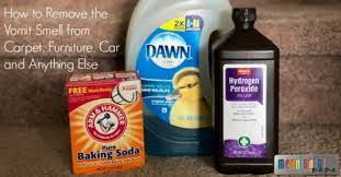 How To Remove The Vomit Smell From Carpet, Furniture, Car And Anything Else  How To Remove The Vomit Smell From Carpet, Furniture, Car And Anything Else